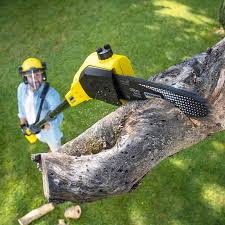 Best Tree Mulching  in Acton, CA